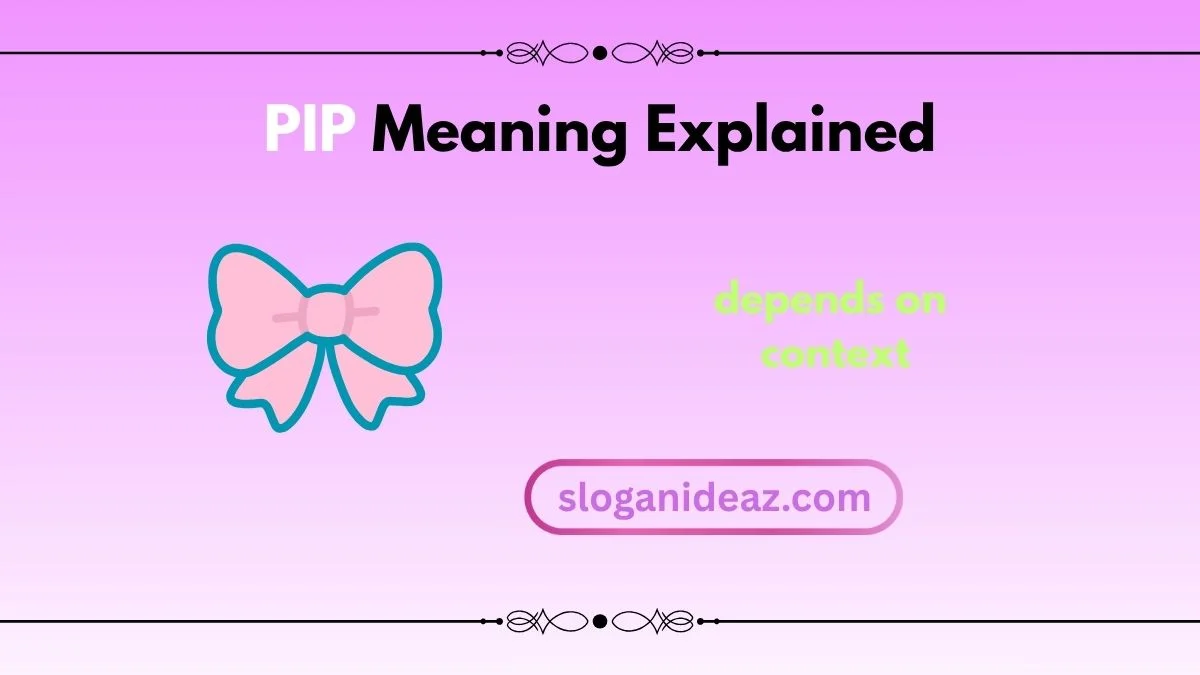 pip meaning
