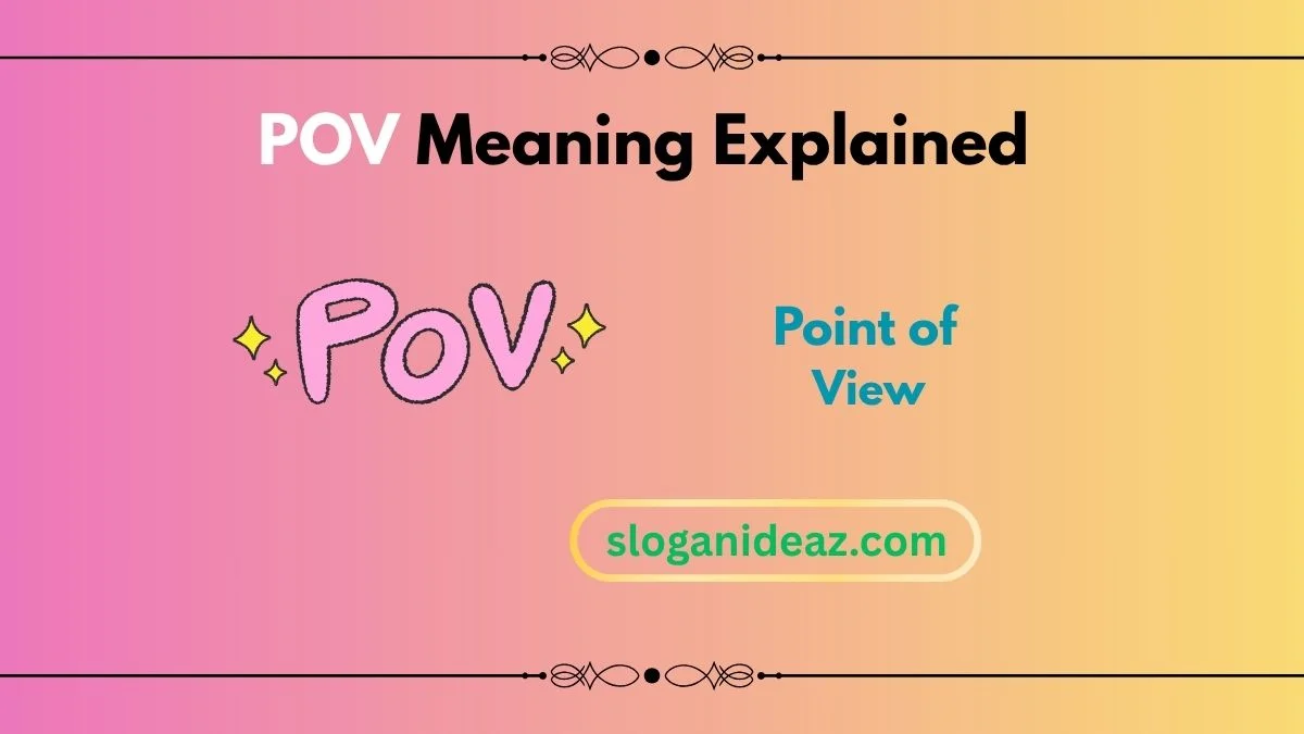 POV meaning