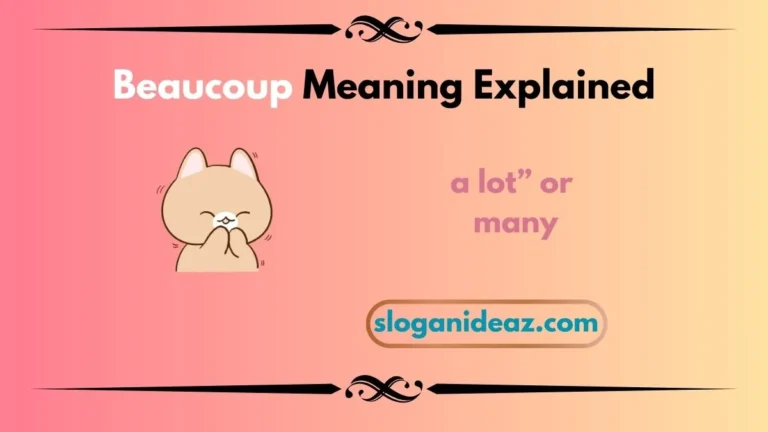 beaucoup meaning