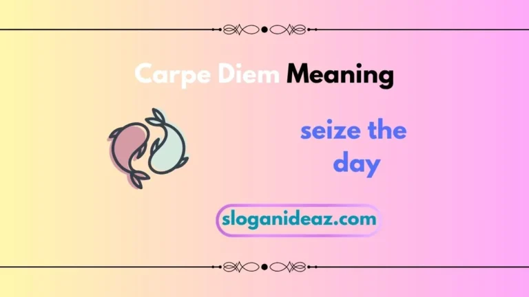 carpe diem meaning