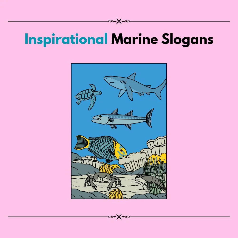 marine slogan