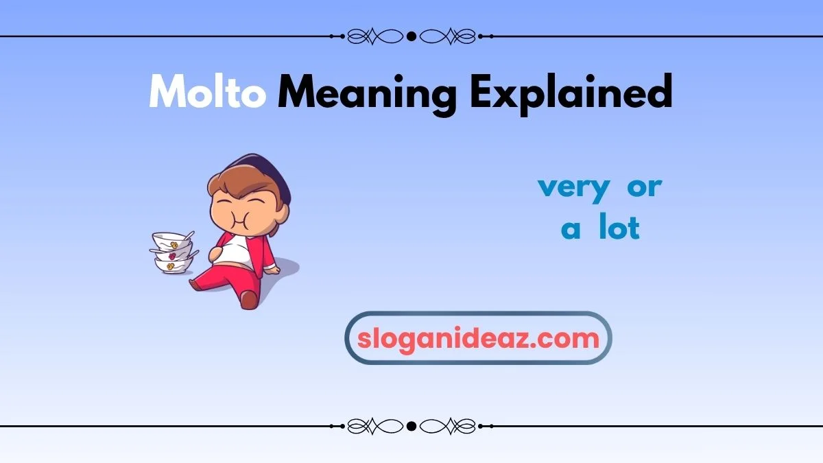 molto meaning