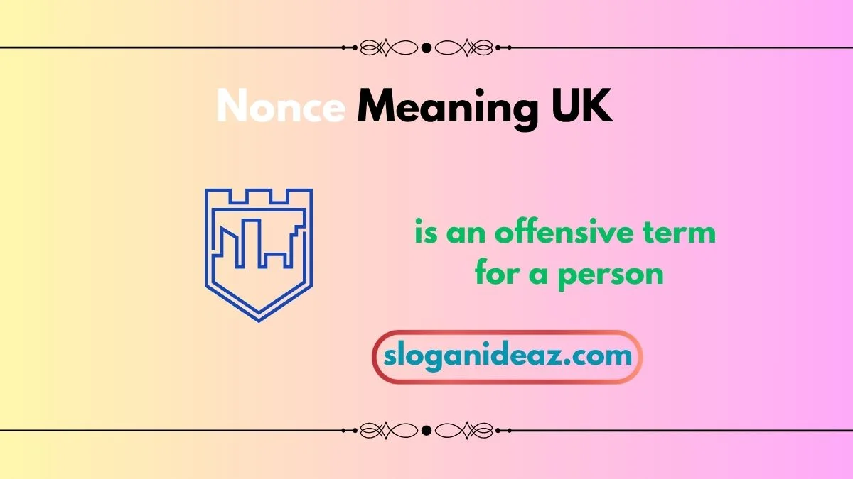 nonce meaning uk