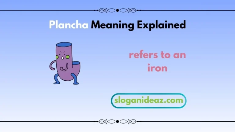 plancha meaning