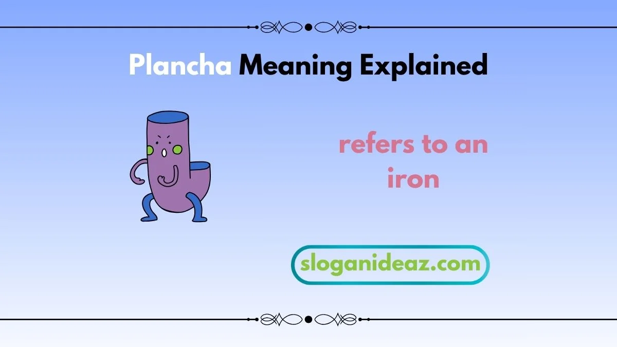plancha meaning