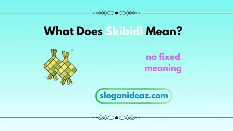 what does skibidi mean