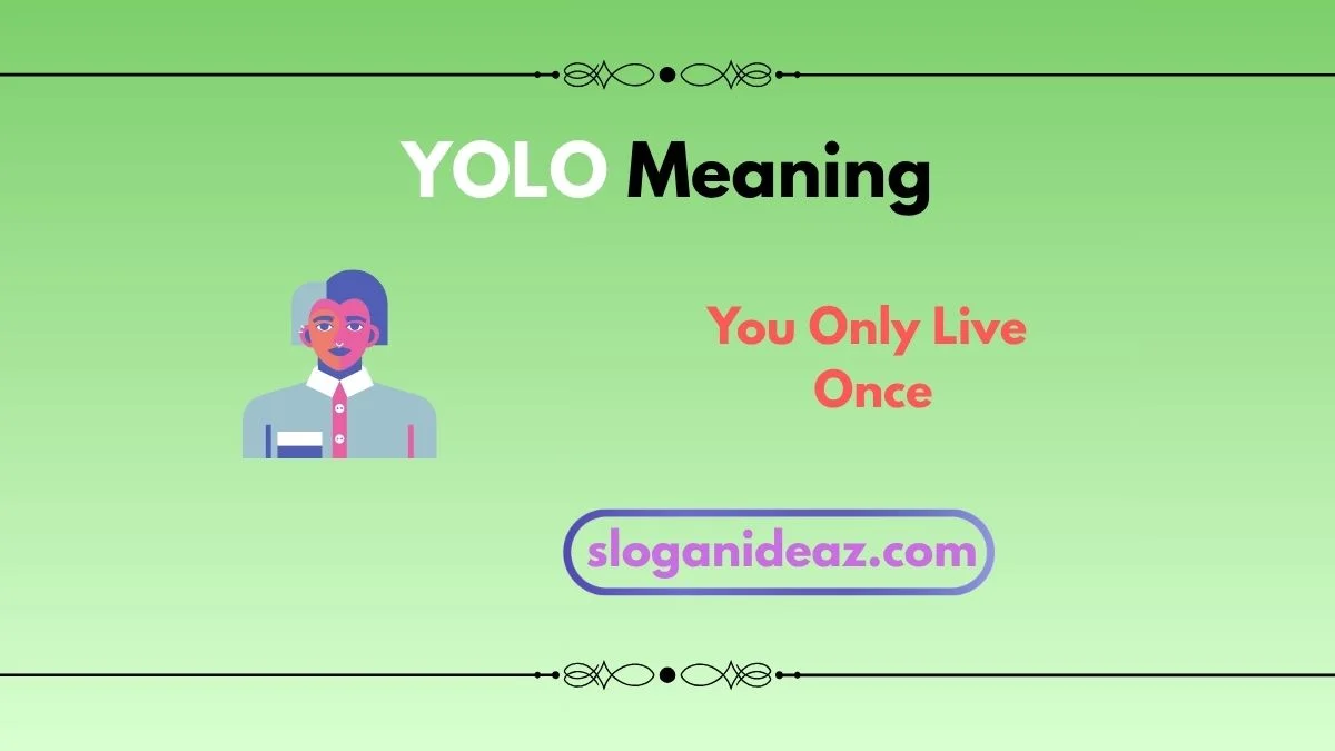 yolo meaning